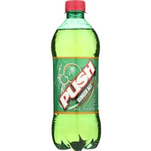PUSH GINGER ALE SODA 24/20oz
