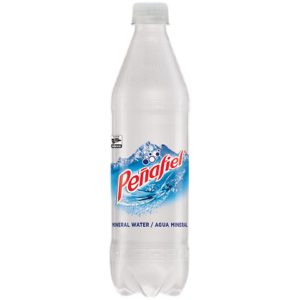 12/600ml PEÑAFIEL AGUA MINERAL