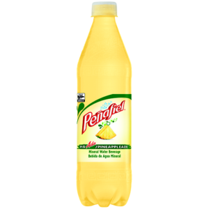 12/600ml PEÑAFIEL PINEAPPLEADE